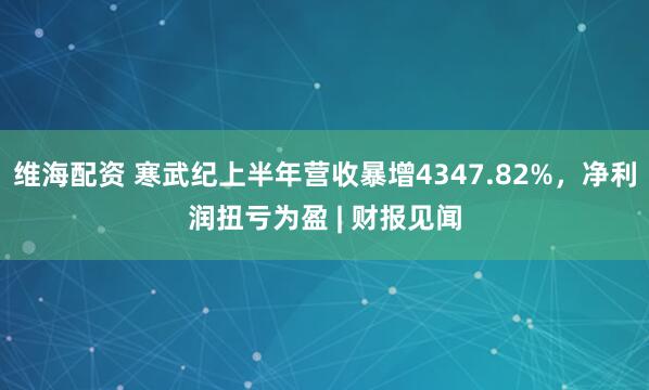 维海配资 寒武纪上半年营收暴增4347.82%，净利润扭亏为盈 | 财报见闻