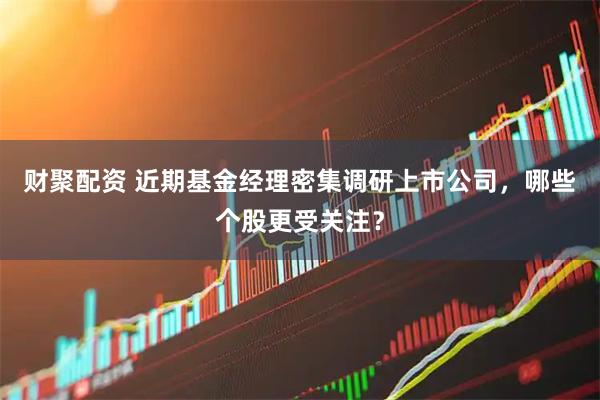 财聚配资 近期基金经理密集调研上市公司，哪些个股更受关注？