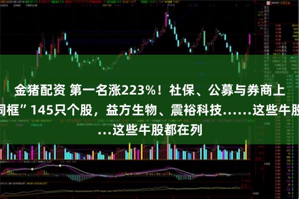 金猪配资 第一名涨223%！社保、公募与券商上半年“同框”145只个股，益方生物、震裕科技……这些牛股都在列