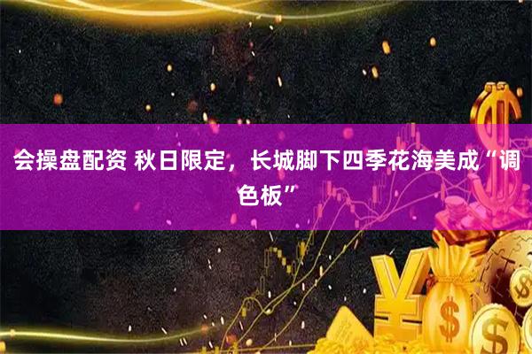 会操盘配资 秋日限定，长城脚下四季花海美成“调色板”