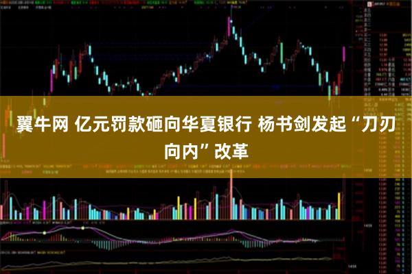 翼牛网 亿元罚款砸向华夏银行 杨书剑发起“刀刃向内”改革